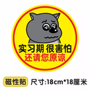 山头林村实习车贴搞笑恶搞蕉太狼贴鞠躬磁性贴标汽车女司机新手上路让让我 实习-蕉太狼还请您原谅【磁
