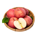 甘肃富士苹果6粒1.1kg