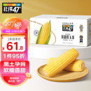 北纬47°（BEIWEI） 黄糯鲜玉米200g*10穗  低脂玉米棒糯玉米东北玉米粘玉米
