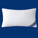 梓丹 枕头枕芯磨毛压花羽丝绒高弹枕芯 单只装 羽丝绒枕