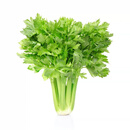 有机芹菜（西芹）400g