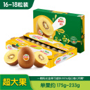 佳沛（zespri）新西兰阳光金奇异果16-18粒原箱单果重约175-233g水果猕猴桃