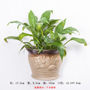 壁挂花盆简约免打孔挂墙花盆欧式创意水培壁挂陶瓷盆绿萝悬挂式多 J-04(大号)+无痕贴+S钩 底部无孔  陶瓷
