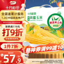 十月稻田 23年新玉米 鲜食黄糯玉米 2.2kg(220g*10) 东北黄甜糯 中秋礼盒