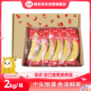佳农 进口香蕉 2kg（约10-12根） 单根独立包装 单根蕉 生鲜水果