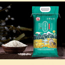 食芳溢李济勤金丝猫牙米晚稻新米10斤香米长粒香大米象牙米丝苗米煲仔饭 金丝猫牙米10斤【猫牙米】