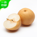 京鲜生 莱阳羊脂秋月梨 净重4.5斤 单果200g+ 源头直发 包邮