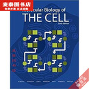 【优挑图书】全彩细胞的分子生物学Molecular Biology of the Cell 彩色
