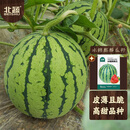 北蔬 冰糖麒麟西瓜种子种苗超甜脆四季水果种籽 冰糖麒麟瓜种子约50粒