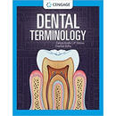 【3-6周达】Dental Terminology