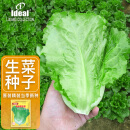 IDEAL生菜种子四季耐热耐抽薹蔬菜种籽家庭种植速生菜籽5g（约5000粒）