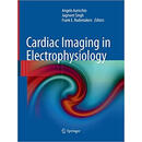 【3-6周达】高被引Cardiac Imaging in Electrophysiology