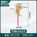 TP阀温度压力安全阀太阳能锅炉排气阀承压水箱泄压阀铜配件 6分6公斤