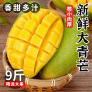 越南青芒果新鲜水果 应季孕妇水果现摘热带水果大青芒 单果300g-400g，大果 9斤（净重8.5）