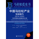 中国马拉松产业发展报告（2019～2020）：马拉松赞助市场指数评价分析