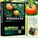 现代蔬菜栽培技术手册 王迪轩 蔬菜种植技术 农业科学种植技术书籍 育苗栽培技术 蔬菜病虫害防治 肥料配置 蔬菜栽培技术书籍