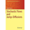现货 随机流与跳跃扩散 Stochastic Flows and Jump-Diffusions 英文原版