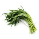 【24小时鲜】空心菜250g