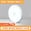 诺锋人体感应灯夜间自动亮灯家用过道智能光控充电小夜灯老人儿童地脚 【一个装】感应白光