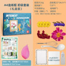 佳菲猫儿童玩具造纸术材料包套装化学实验器材学生diy手工幼儿园科学区 A4造纸体验装