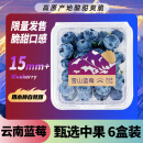 京鲜生 云南蓝莓 6盒 约125g/盒 15mm+ 新鲜水果礼盒 源头直发 包邮