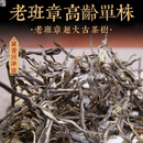 茗冠忠品23年春茶 老班章高龄单株古树散茶 牛茶 云南古树茶 500克