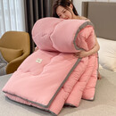 爱思居加厚保暖被子冬被芯单人学生宿舍春秋被薄款1.5米棉被双人1.8m太空被四季通用 油画粉 150*200cm（6斤）