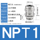 斯汀旭不锈钢格兰头防爆密封金属填料函电缆防水接头 NPT1线径10-14毫米 