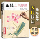 经典全集 正统工笔花鸟技法入门 零基础教程书籍中国工笔画白描勾线牡丹上色涂色宋画临摹