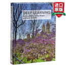 英文原版 深度学习 Deep Learning 计算机科学与人工智能 英文版