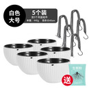 丛一楼吊盆花盆悬挂式吊兰盆垂吊自动吸水创意个性塑料多肉绿萝花盆大号 加厚可蓄水白色（大号5个装） 大