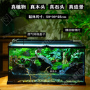 OIMG苔藓微景观雨林生态造景水陆爬宠饲养缸养鱼角蛙桌面绿植全套成品 爬宠乐园+灯(有流水)50x30x25cm 成品发货