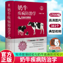 奶牛疾病防治学 铂金视频版 王春璈 奶牛疾病防控技术治疗经验奶牛疾病管理规程临床症状病理变化诊断治疗 奶牛疾病防空治疗学 兽医手册书籍 C