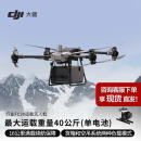 DJI 大疆 大型无人机载重 FlyCart30 专业空吊箱运输 30公斤 行业机旗舰【 FC30套装+空吊系统套件】