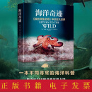 [微瑕]海洋奇迹(重现奥斯卡佳纪录片《我的章鱼老师》中的非凡世界！近200张珍稀图景，揭秘神秘海洋森林中的神奇动物！)