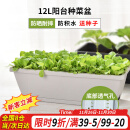 花沃里长方形花盆大号2个灰白/带1种子阳台种菜盆塑料花盆长条一体盆