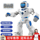 RECCA QUEENIE 莉卡奎尼智能机器人儿童玩具遥控机器人编程对话高科技电动生日礼物益智 40CM 白色 中文