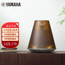雅马哈（Yamaha）LSX-170 音响 音箱 迷你桌面 台式一体式灯光蓝牙音响 床头音响 光音系列 古铜棕