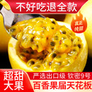 探味君 广西钦蜜9号黄金百香果 新鲜水果白香果酱原浆整箱 生鲜 30个装【单果30-50g】