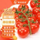 富美鹤城串收樱桃番茄新鲜小西红柿酸甜多汁生吃水果番茄198g*4盒源头直发