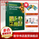 新编柑橘病虫害诊断与防治图鉴 广东科技出版社 蔡明段,彭成绩 著 书籍