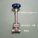 DN15DN20DN25DN40不锈钢低温截止阀DJ61F-40P焊接液氧液氮LNG阀门 DN15中部方法兰