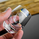 BOHEMIA捷克进口水晶玻璃酒杯家用高档烈酒杯一两小白酒杯 60ml【club系列】单只