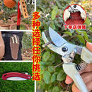 原装三喜树130果树修枝剪刀园艺园林修剪家用花剪农用剪 三喜树130果剪/花剪/农用剪升级