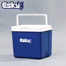 爱斯基 ESKY 10L大容量户外保温箱冷藏箱包 便携式车载保温箱外卖箱送快餐箱 附12冰袋