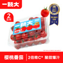 一颗大™ 樱桃番茄 生吃小西红柿 水果生鲜 便携装 486g*2盒 源头直发