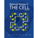 预订 细胞分子生物学 简装 Molecular Biology of the Cell