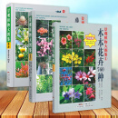 正版3册景观植物大图鉴1木本花卉760种+2观赏树木680种+3藤蔓植物竹类棕榈类626种园艺种植技巧园林景区盆栽 dm