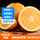 其他品牌【已售220万斤】湖南麻阳脐橙 高甜无渣 果园现发 优质产区橙子 带箱9.6-10斤特大果 (70mm)