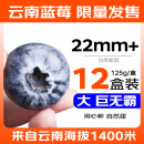 京鲜生 云南蓝莓巨无霸 22mm+ 12盒装 125g/盒  新鲜水果 源头直发